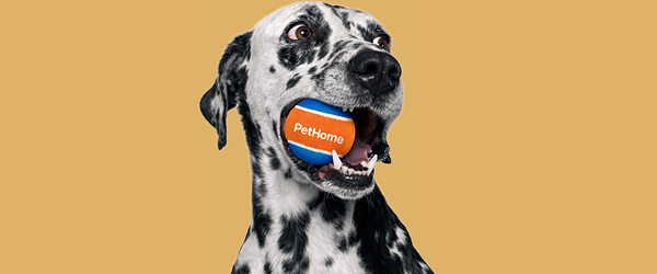 Perro