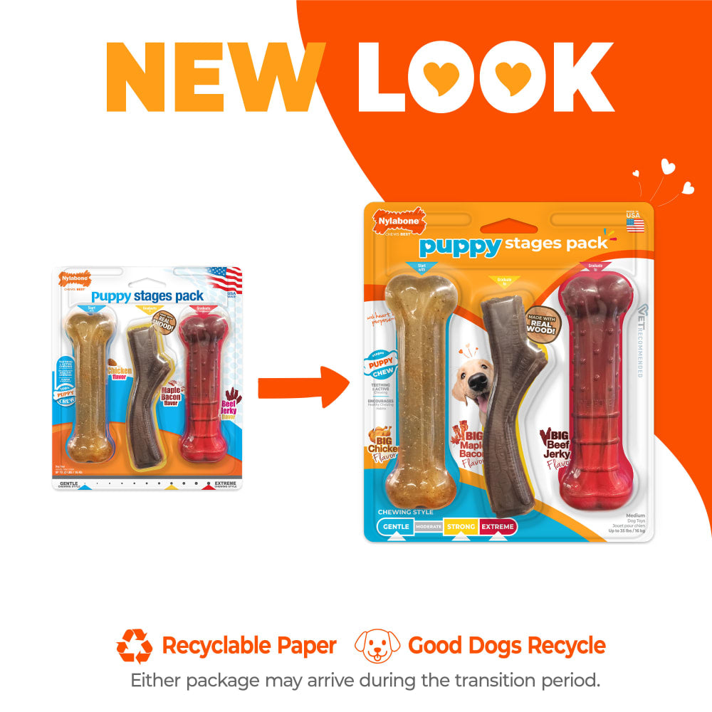 Nylabone Puppy Chew Stages paquete de 3 mordederas por etapas para cachorro, Medium hasta 16 kg