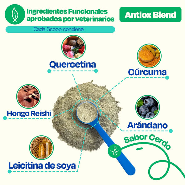 SUPLEMENTO ANTIOXIDANTES PARA MASCOTAS 270GR DOGELTHY