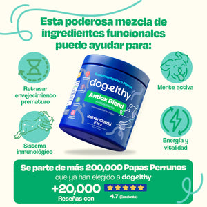 SUPLEMENTO ANTIOXIDANTES PARA MASCOTAS 270GR DOGELTHY