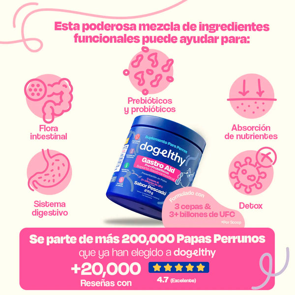 SUPLEMENTO PROBIOTICOS PARA EL SISTEMA 270GR INMUNE DOGELTHY