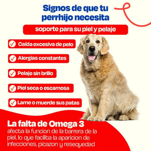 ACEITE DE SARDINA PARA MASCOTAS 450ML DOGELTHY