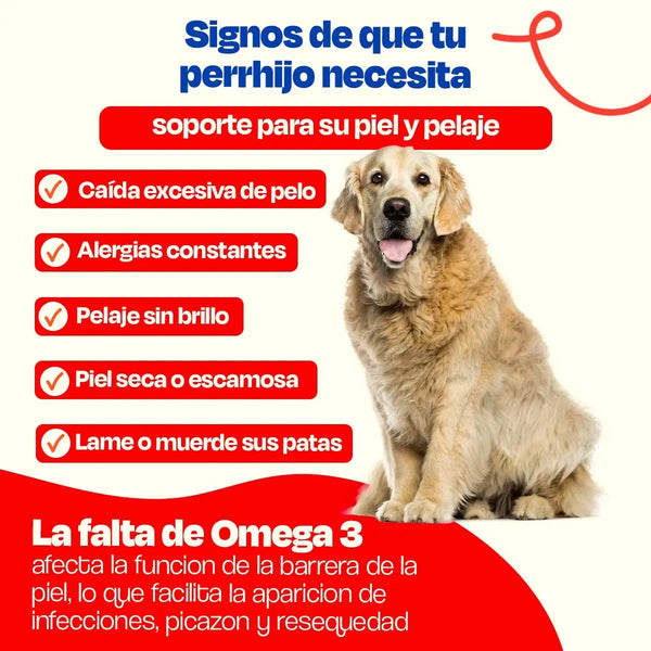ACEITE DE SARDINA PARA MASCOTAS 450ML DOGELTHY