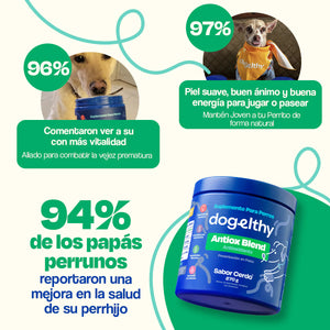SUPLEMENTO ANTIOXIDANTES PARA MASCOTAS 270GR DOGELTHY