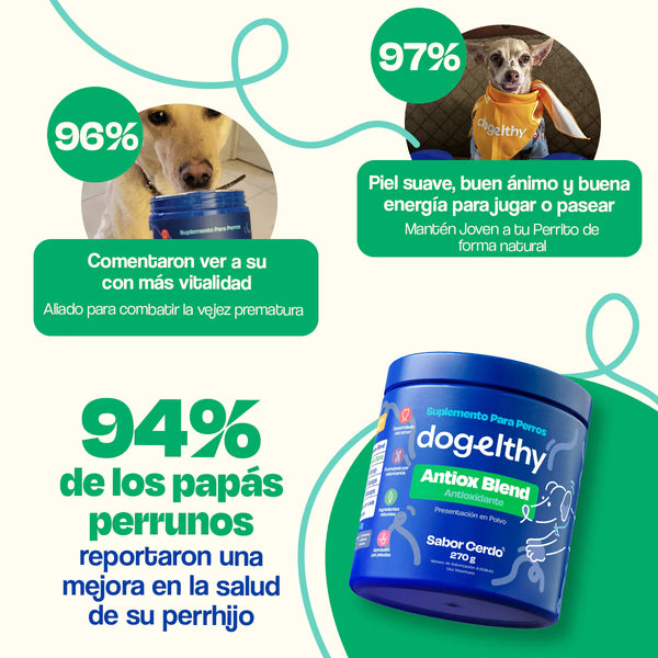 SUPLEMENTO ANTIOXIDANTES PARA MASCOTAS 270GR DOGELTHY