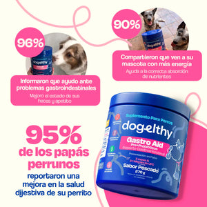 SUPLEMENTO PROBIOTICOS PARA EL SISTEMA 270GR INMUNE DOGELTHY