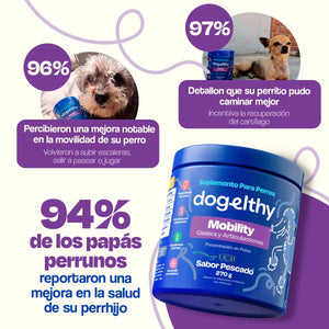 SUPLEMENTO PARA MOBILIDAD Y ARTICULACIONES 270GR DOGELTHY