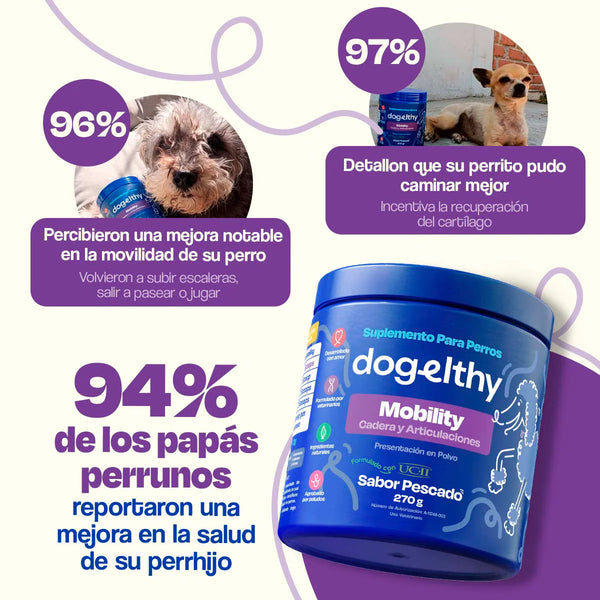 SUPLEMENTO PARA MOBILIDAD Y ARTICULACIONES 270GR DOGELTHY