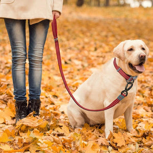DOCO VARIO Reflective Heavy-Duty Nylon Leash
