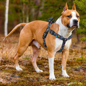 ARNES PARA PERRO ESTAMPADO DOCO
