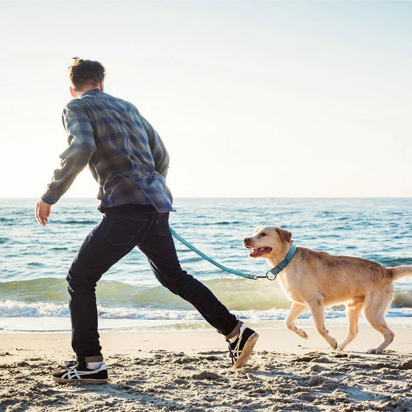 DOCO VARIO Reflective Heavy-Duty Nylon Leash