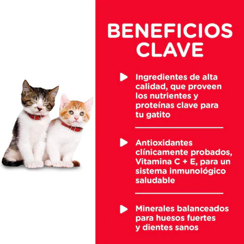 ALIMENTO PARA GATITO EN LATA HEALTHY CUISINE HILLS