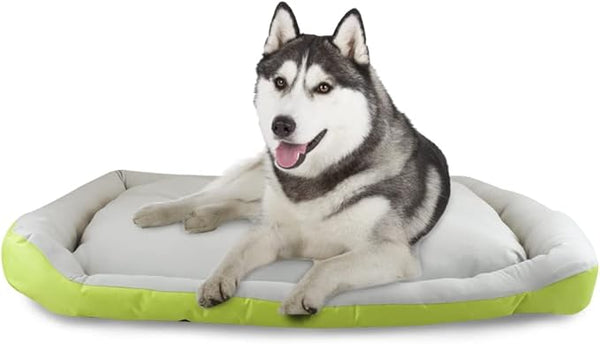 CAMA PARA MASCOTAS RIZZO VERDE FANCY PETS