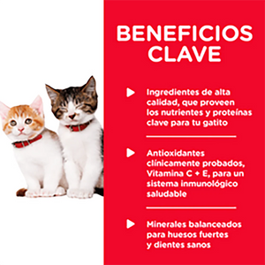 ALIMENTO HUMEDO PARA GATITO ORIGINAL EN LATA HILLS
