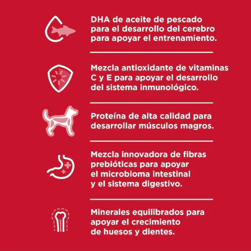 ALIMENTO SECO PARA CACHORRO RAZA PEQUEÑA HILLS