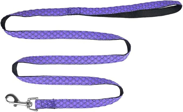 SET ARNES Y CORREA SPORTIE CH VIOLETA FANCY PETS