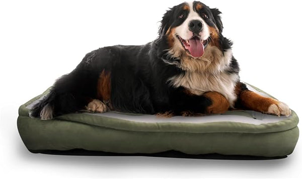 CAMA ECONOMICA RECTANGULAR XGDE FANCY PETS