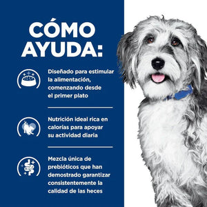 ALIMENTO SECO VETERINARIO CANCER PARA GATP ONC CARE 6.8 KG