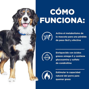 ALIMENTO SECO PARA MEJORA DE MOBILIDAD 3.9KG HILLS