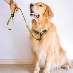 COLLAR ESTAMPADO PARA PERRO DOCO