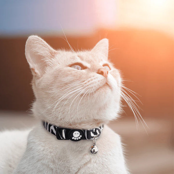 COLLAR PARA GATO DE NYLON ESTAMPADO DOCO
