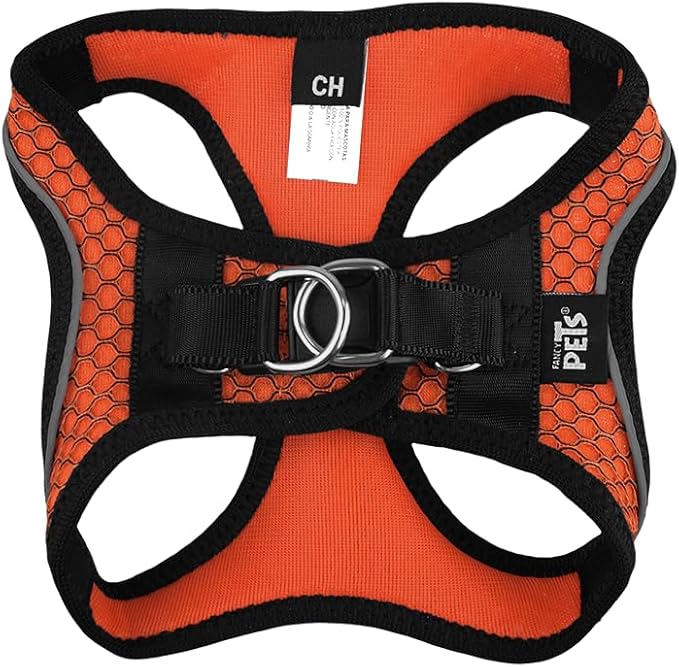 SET ARNES Y CORREA SPORTIE MED NARANJA FANCY PETS