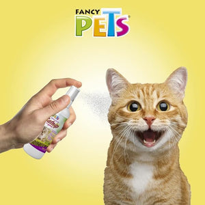 CATNIP EN SPRAY PARA GATOS 125 ML FANCY PETS