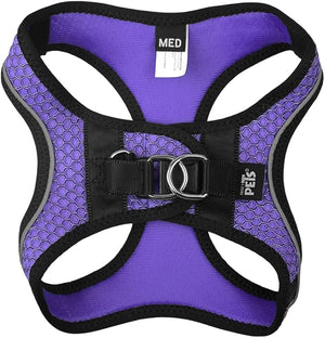 SET ARNES Y CORREA SPORTIE INT VIOLETA FANCY PETS
