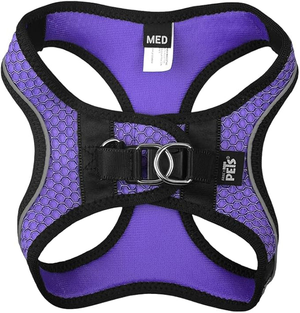 SET ARNES Y CORREA SPORTIE INT VIOLETA FANCY PETS