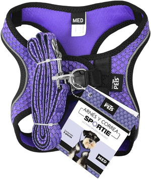 SET ARNES Y CORREA SPORTIE INT VIOLETA FANCY PETS