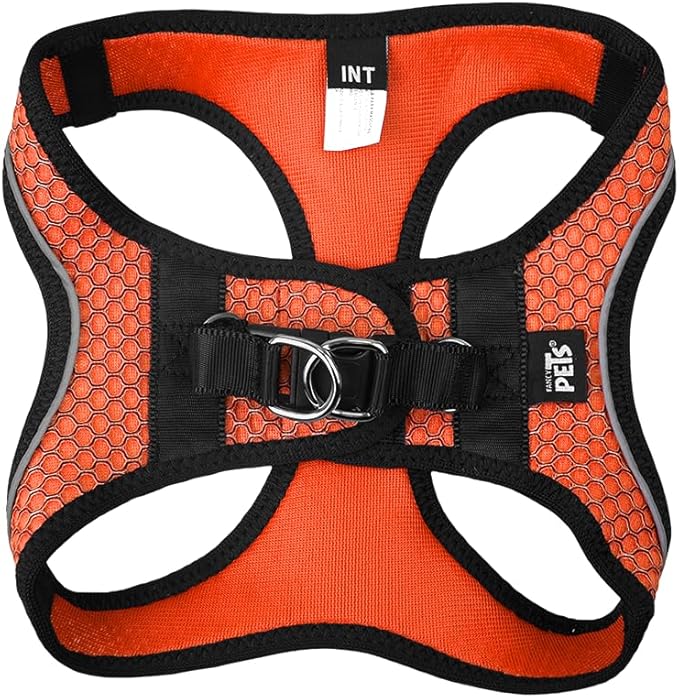 SET ARNES Y CORREA SPORTIE INT NARANJA FANCY PETS