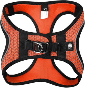 SPORTIE HARNESS AND LEASH SET INT ORANGE FANCY PETS