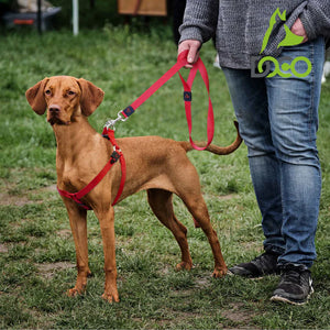 PREMIUM HIGH-STRENGTH NYLON DOG LEASH 1.2M DOCO