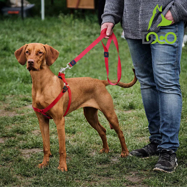 PREMIUM HIGH-STRENGTH NYLON DOG LEASH 1.2M DOCO