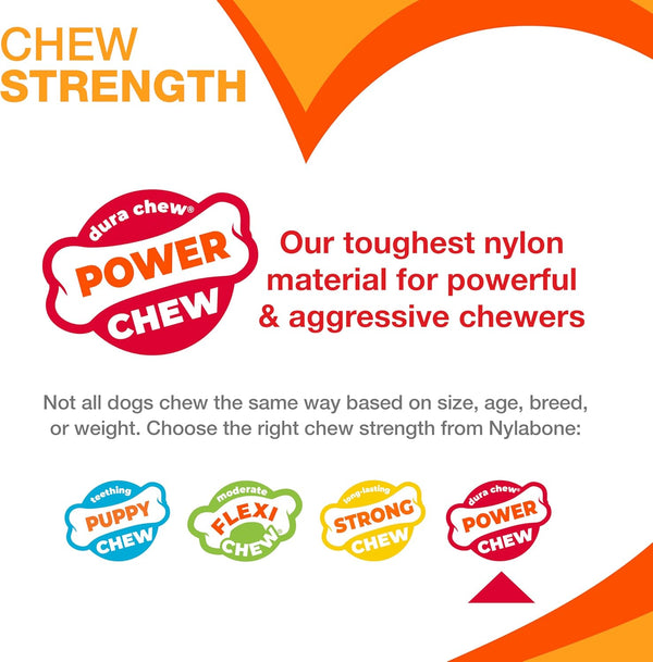 NYLABONE DENTAL CHEW TOY