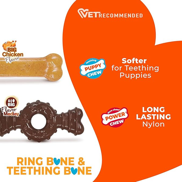 JUGUETE PARA PERRO FLEXICHEW TWIN NYLABONE