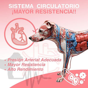 SUPLEMENTO ACEITE DE SALMON CON OMEGA 3 250MLFANCY PETS