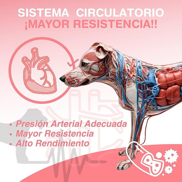 SUPLEMENTO ACEITE DE SALMON CON OMEGA 3 250MLFANCY PETS