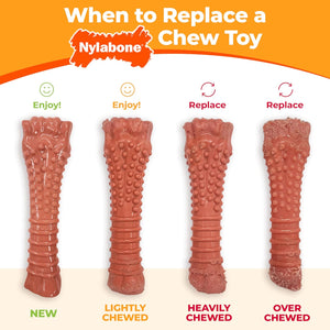 JUGUETE PARA PERRO SABOR TOCINO DURA CHEW NYLABONE
