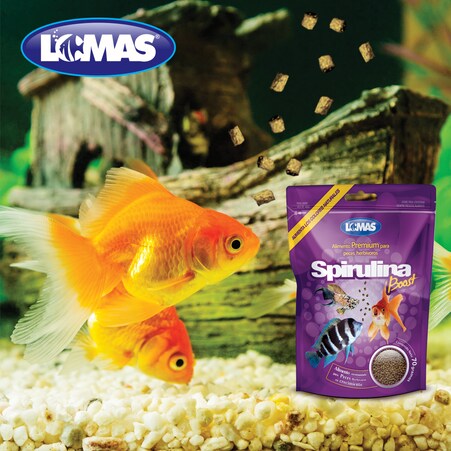 ALIMENTO SPIRULINA BOOST 70 G FANCY PETS