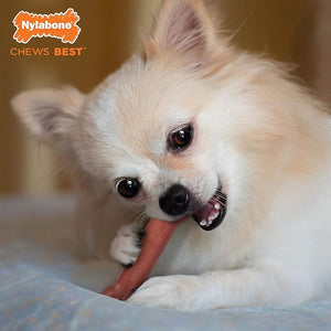 JUGUETE PARA PERRO SABOR TOCINO DURA CHEW NYLABONE