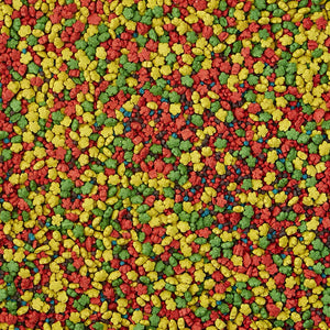 ALIMENTO PARA AVES EXACT RAINBOW PERICO KAYTEE