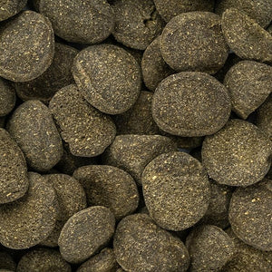 ALIMENTO PARA PECES DE FONDO 70 G LOMAS