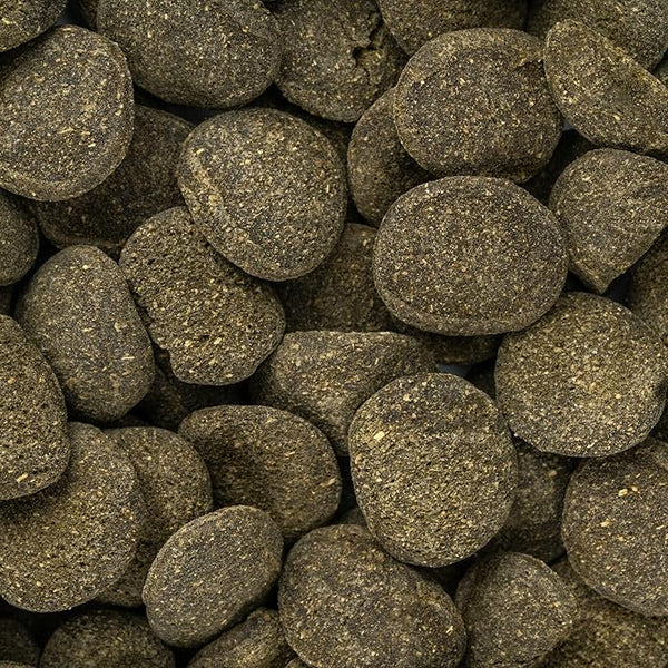 ALIMENTO PARA PECES DE FONDO 70 G LOMAS