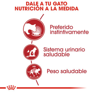 ALIMENTO HUMEDO PARA GATO ADULTO  ROYAL CANIN