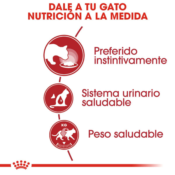 ALIMENTO HUMEDO PARA GATO ADULTO  ROYAL CANIN