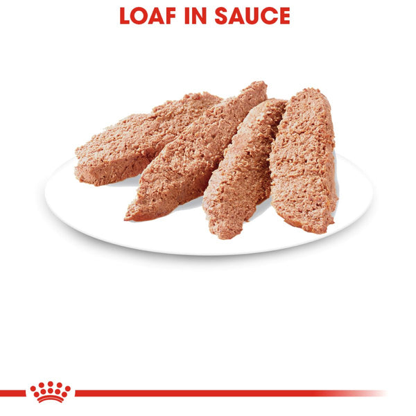 ALIMENTO HUMEDO PARA GATO ADULTO  ROYAL CANIN
