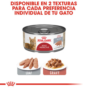 ALIMENTO HUMEDO PARA GATO ADULTO  ROYAL CANIN