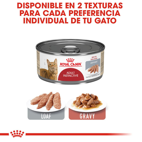 ALIMENTO HUMEDO PARA GATO ADULTO  ROYAL CANIN