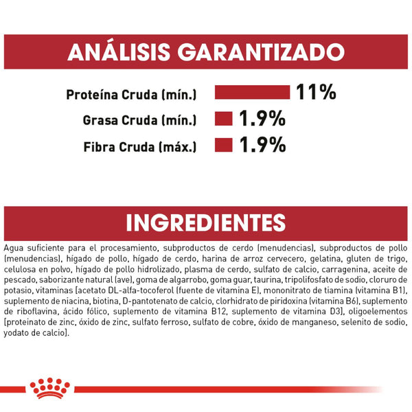 ALIMENTO HUMEDO PARA GATO ADULTO  ROYAL CANIN